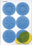 Schweizer Zahlenbuch 5: Zeichenuhr Begleitmaterial 5 Sets